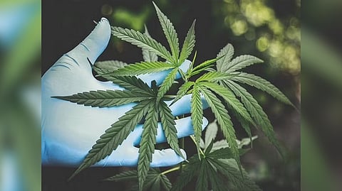 Representative Image