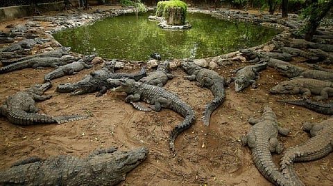 Representative Image