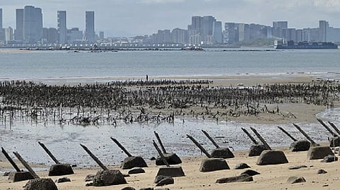 21 warplanes, 5 naval ships from China tracked around Taiwan