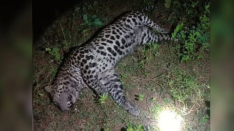 Representative image