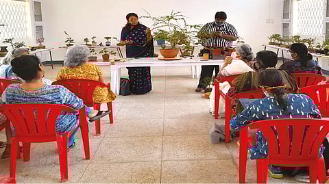Chennai Bonsai Association workshop