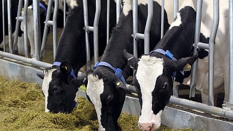 Representative Image