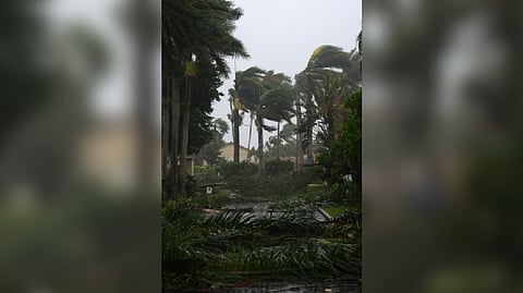 Representative Image