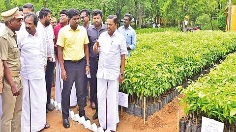 Minister K Ramachandran inspecting the nurseries
