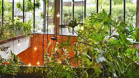 Representative Image