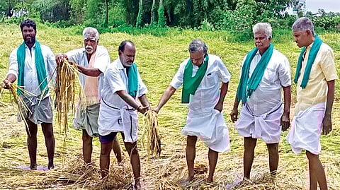 Farmer leader PR Pandian and other farmers inspecting an inundated field