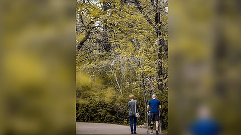 Representative Image