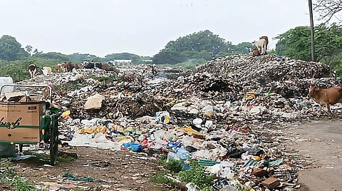 Garbage has piled up on the river banks.