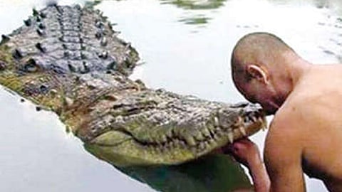 The names of the man and the crocodile are Chito and Pocho.