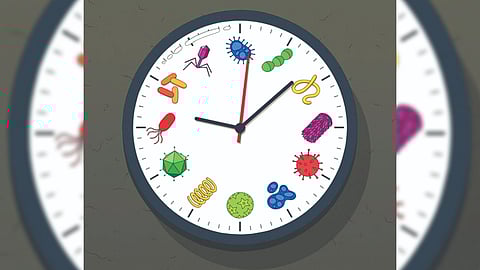 Representative image