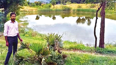 Dinesh Saravanan among the green cover he created in Vellore.