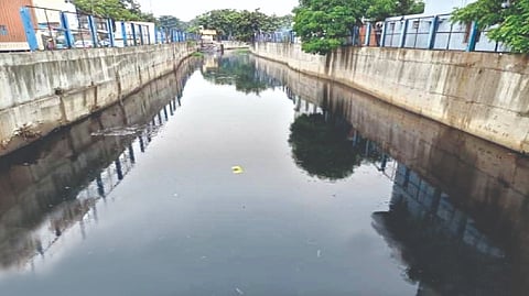 Waste removed from Kodugaiyur canal