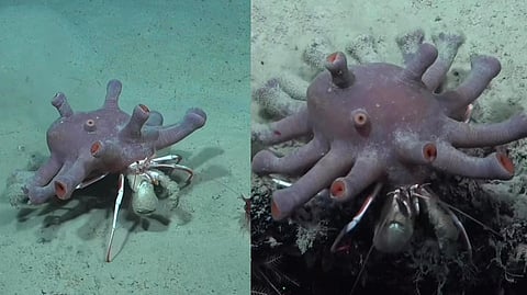 Screengrab from the video