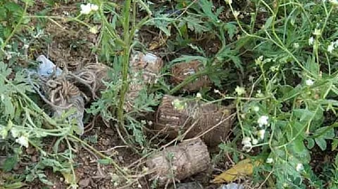 Representative image