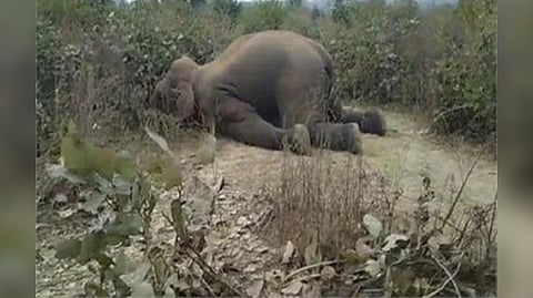 Representative image