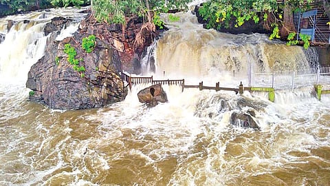 The flooded Hogenakkal falls on Tuesday