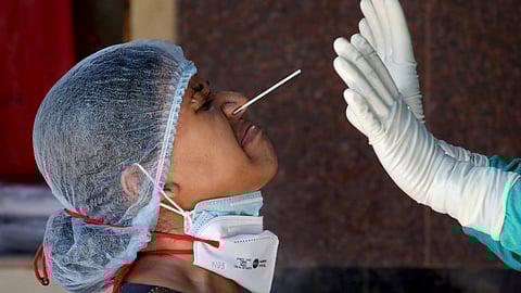 Chennai got 83 new cases, Chengalpattu had 27 cases and Coimbatore had 25 cases