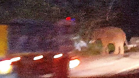 The wild elephant attacking a car in The Niligirs on Wednesday night