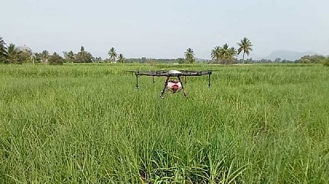 Representative Image