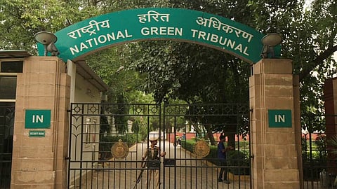 Fishermen of Ennore filed a complaint with the NGT against the erection of electricity towers