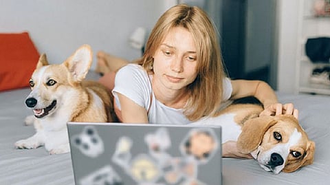 Representative Image