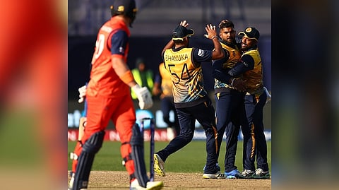 Sri Lankan players celebrating a wicket