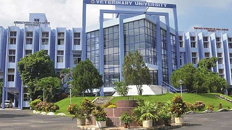 Tamil Nadu Veterinary and Animal Sciences University