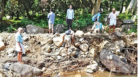 Officials take stock of crop damage in plantation site at Vadakkumalai village near Bodinayakanur