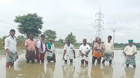 Farmers standing in knee-deep water in a
submerged field in Thanjavur on Thursday