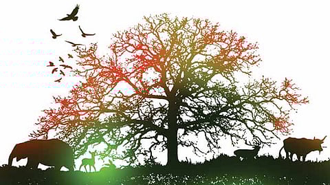 Representative image