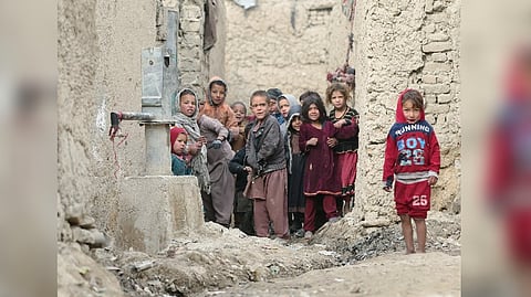 Representative image