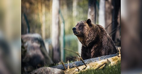 Representative Image