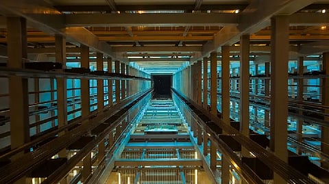 Representative image