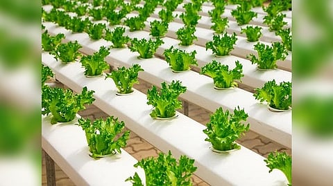 Representative image