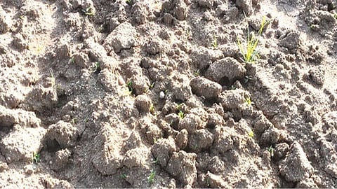 A dry patch of soil in Thoothukudi district