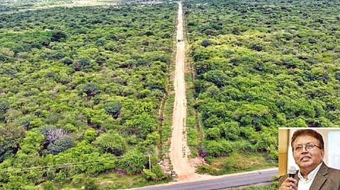 The present state of Kew garden set up by Ashok Vardhan Shetty in Edaikkal village near Ulundurpet in 1994; (inset) Ashok Shetty.