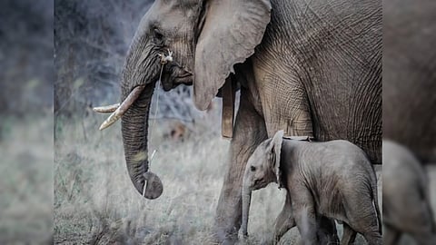 Representative Image