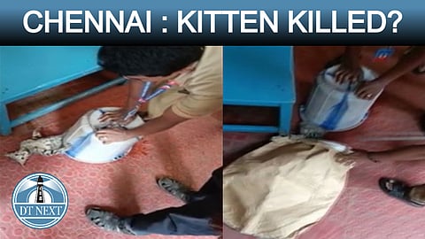 Cats killed in Tambaram private hospital?