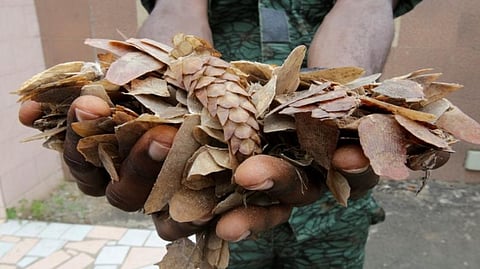 Representative image