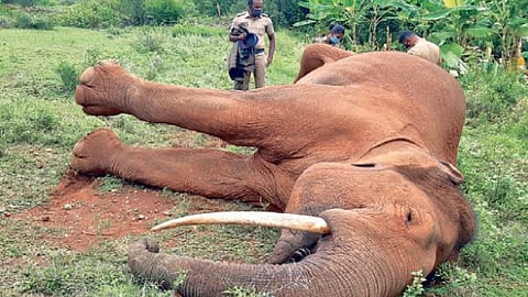 Representative Image