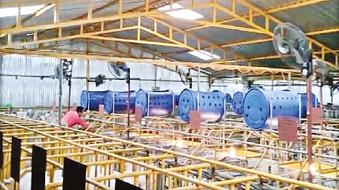 A view of a piggery farm in Coimbatore