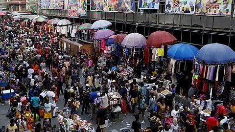 Experts believe the loss of biodiversity can be debilitating for mankind as it will rupture the ecosystems required for survival.