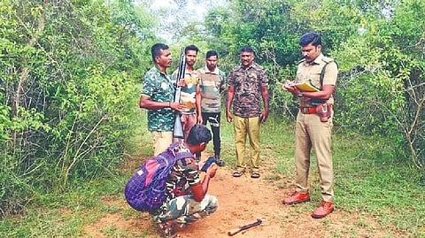 Representative image