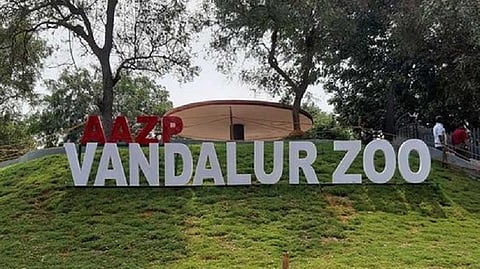 Vandalur zoo