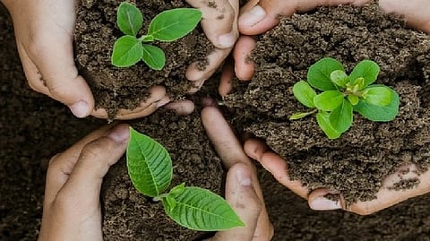 Representative image