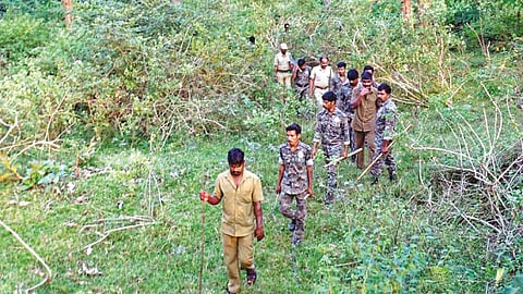 Forest officials? team searching for the tiger in Mudumalai Tiger Reserve on Thursday