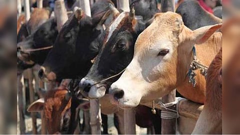 Representative image