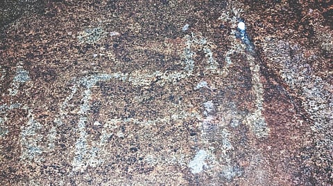 A painting of bull in a natural cave at the base of Sivamalai near Vettavalam in Tiruvannamalai district.