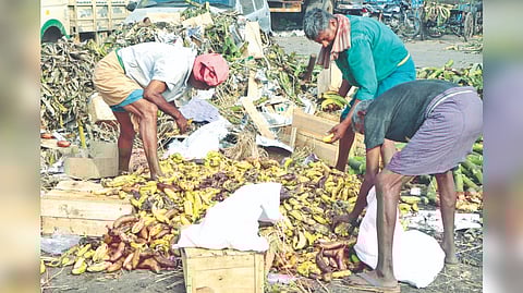 Some retail vendors pick up dumped fruits and vegetables for reselling.