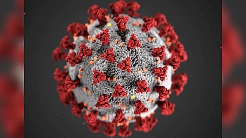 Representative image